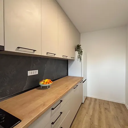 Apartment Lumo Terrace With Private Parking Near Coresi *